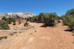 Desert-Voices-flat-sandy-with-bushes
