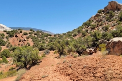 Desert-Voices-red-speckled-with-Green