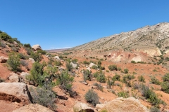 Desert-Voices-top-of-the-bowl