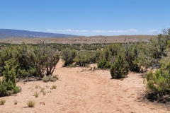 Desert-Voices-wide-angle-backside
