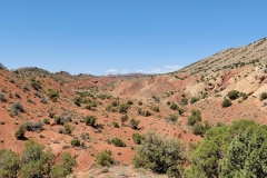 Desert-voices-rolling-dunes-wide