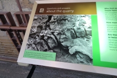 Dinosaur-National-Monument-about-the-quarry-graphic