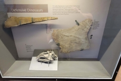Dinosaur-National-Monument-defense