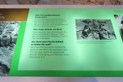 Dinosaur-National-Monument-green-infoboard