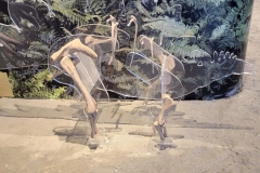 Dinosaur-National-Monument-hips