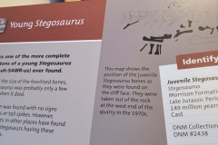 Dinosaur-National-Monument-stega-info