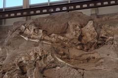 Dinosaur-National-Monument-top