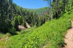 Dolores-Geyser-Open-valley-and-trail