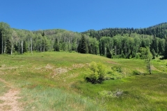 Dolores-Geyser-Opening-Meadow