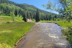 Dolores-Geyser-Opening-River