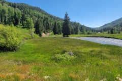 Dolores-Geyser-opening-meadow-and-river
