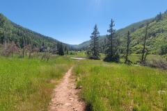 Dolores-Geyser-trail-into-meadow