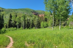 Dolores-Geyser-winding-through-aspens
