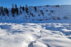 Dolores-River-Walk-River-frozen-close