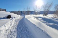 Dolores-River-Walk-Snow-Trench-start