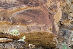 East-Fourmile-Draw-Petroglyphs-Horse