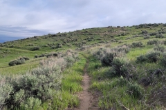 Elkhead-SP-Osprety-Trail-narrow-trail-winding-hill