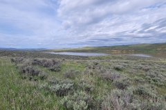 Elkhead-SP-Osprey-Trail-bushes-and-lake