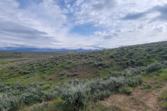Elkhead-SP-Osprey-Trail-hillside-with-bushes
