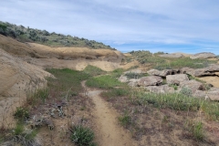 Elkhead-Sand-Rocks-Rock-wall-curve-and-trail