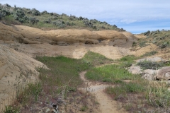 Elkhead-Sand-Rocks-Rocks-good