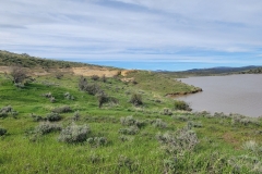 Elkhead-Sand-Rocks-lake-and-cactus-grass