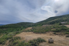 Elkhead-Sand-Rocks-rocks-and-clouds