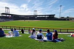 Eternal-Spring-view-from-the-outfield-berm