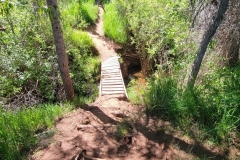 Falls-Creek-Watefall-bridge