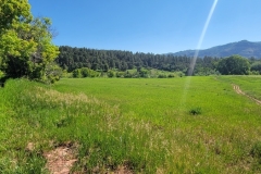 Falls-Creek-Waterfall-Long-Meadow