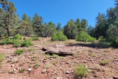 Falls-Creek-Waterfall-Rocks-and-Trees