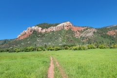 Falls-Creek-Waterfall-Trail-through-the-meadow