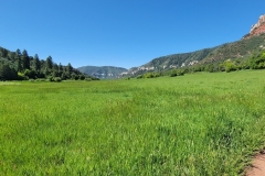 Falls-Creek-Waterfall-big-meadow