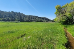 Falls-Creek-Waterfall-wide-valley-at-start