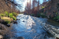 Fern-and-Odessa-Lakes-Big-Thompson-Down-Stream