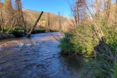 Fern-and-Odessa-Lakes-Big-Thompson-River-Upstream