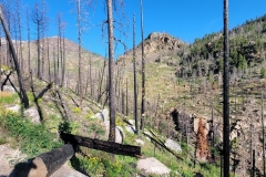 Fern-and-Odessa-Lakes-Burn-Scar-halfway-up