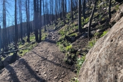 Fern-and-Odessa-Lakes-Burn-Scar-post-falls