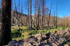 Fern-and-Odessa-Lakes-Early-Burn-Scar