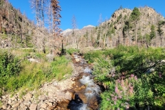 Fern-and-Odessa-Lakes-Up-the-Valley