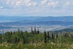 Fiddlehead-Trail-long-views