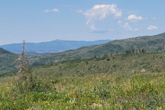 Fiddlehead-Trail-more-clouds-and-peaks-in-the-distance