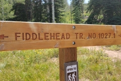 Fiddlehead-Trail-the-sign