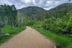 Fish-Creek-Falls-Start-of-lower-trail