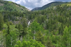 Fish-Creek-Falls-Tiny-falls-big-forest