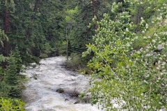Fish-Creek-Falls-lower-with-flowers-river