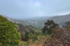 Fryman-Canyon-Park-Valley-of-Fog