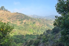 Fryman-Canyon-Park-early-hills