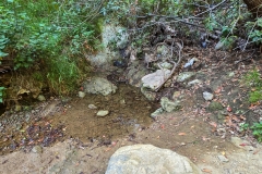 Fryman-Canyon-Park-stream
