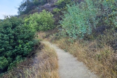 Fryman-Canyon-Park-trail